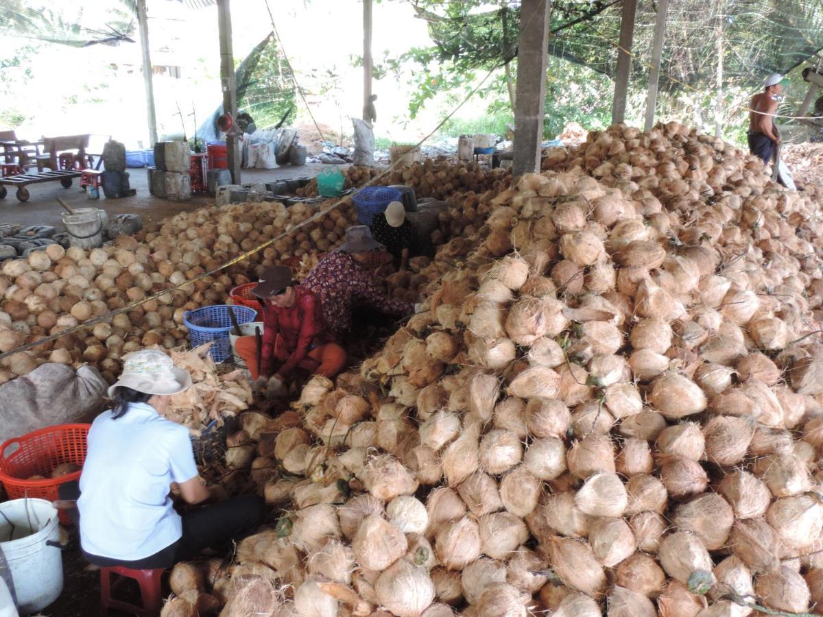 Ben Tre Farm Stay Eksteriør billede