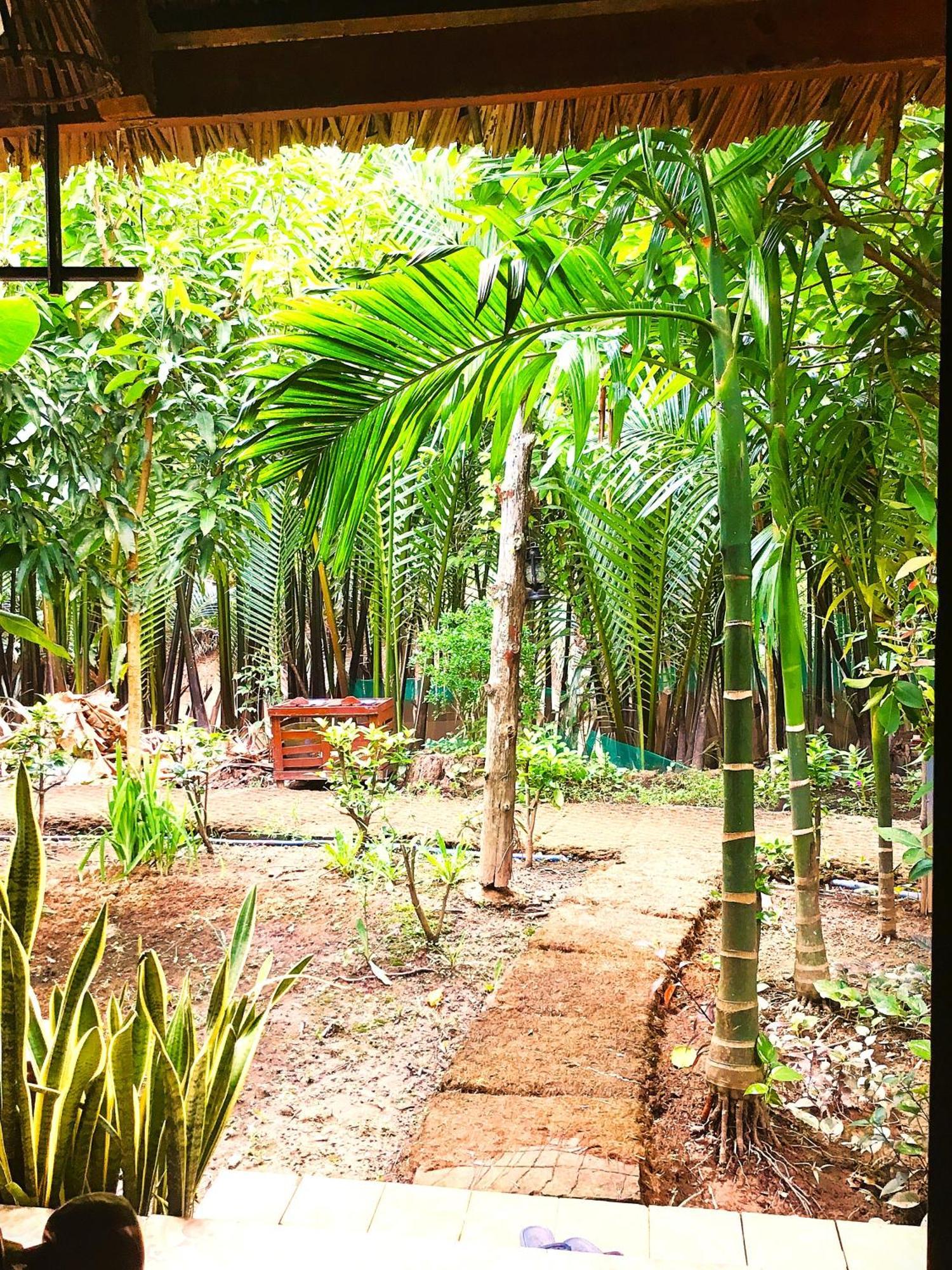 Ben Tre Farm Stay Eksteriør billede