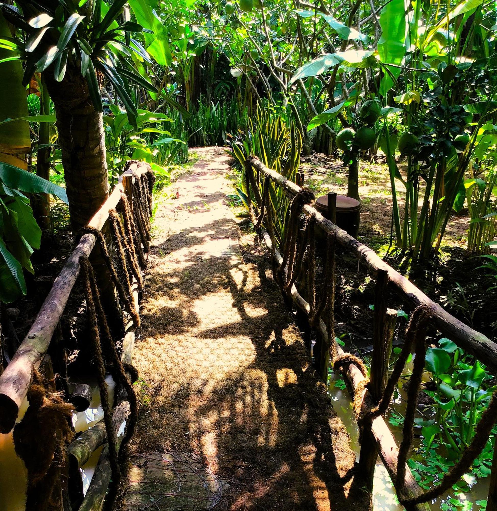 Ben Tre Farm Stay Eksteriør billede