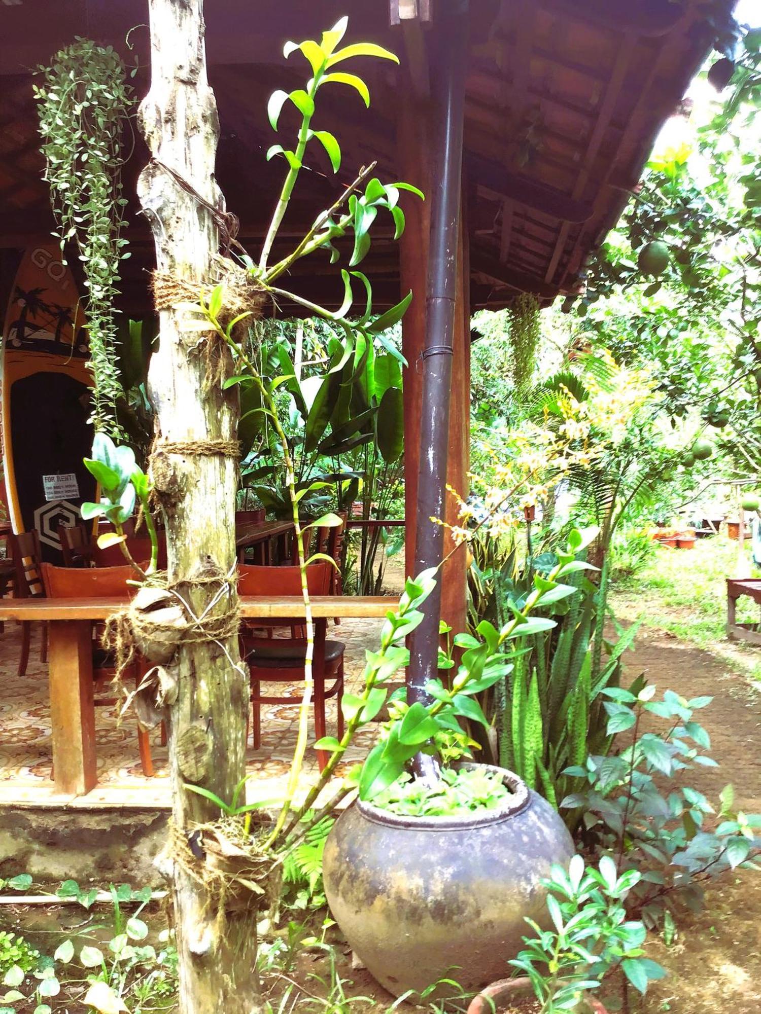 Ben Tre Farm Stay Eksteriør billede