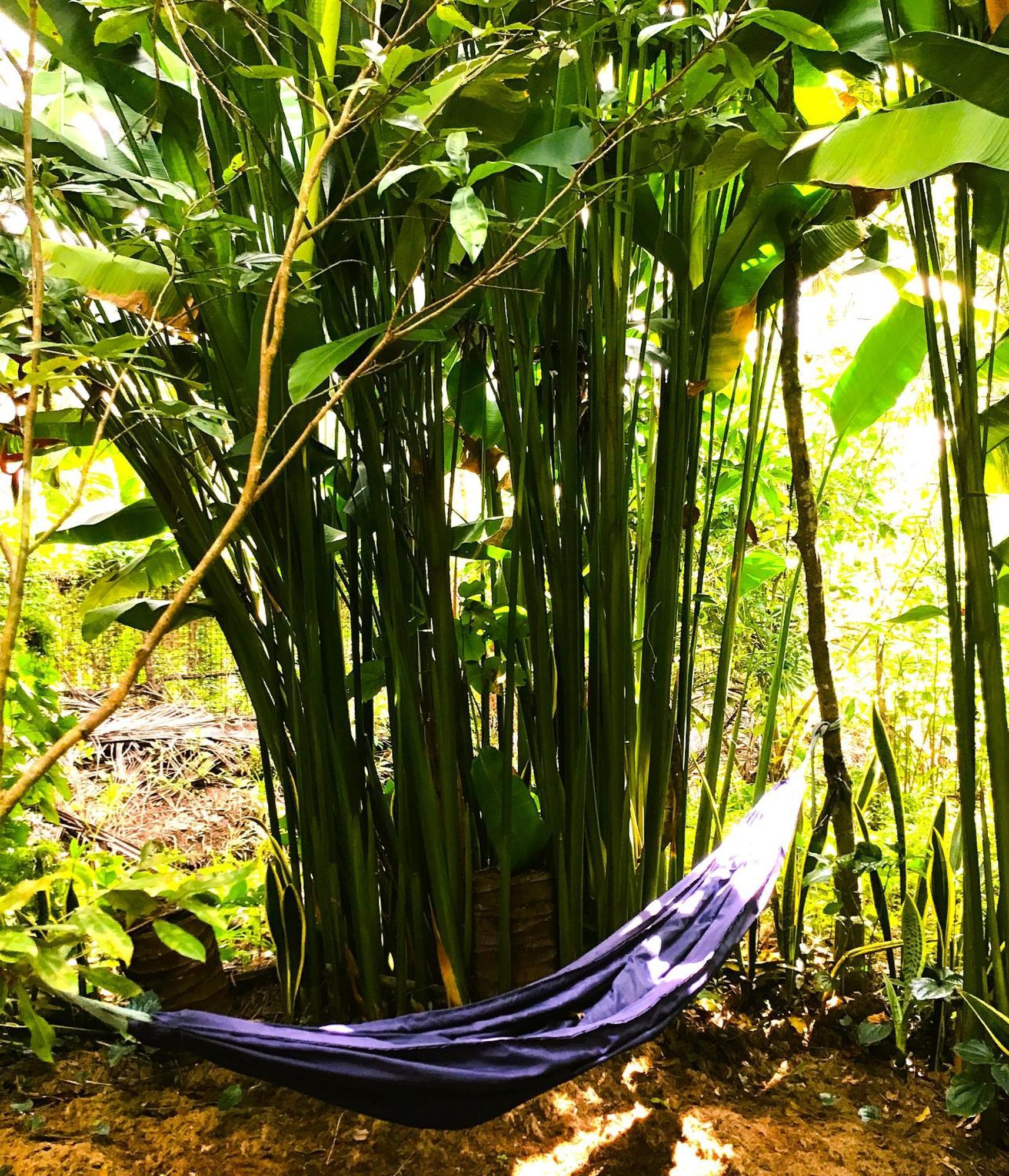 Ben Tre Farm Stay Eksteriør billede