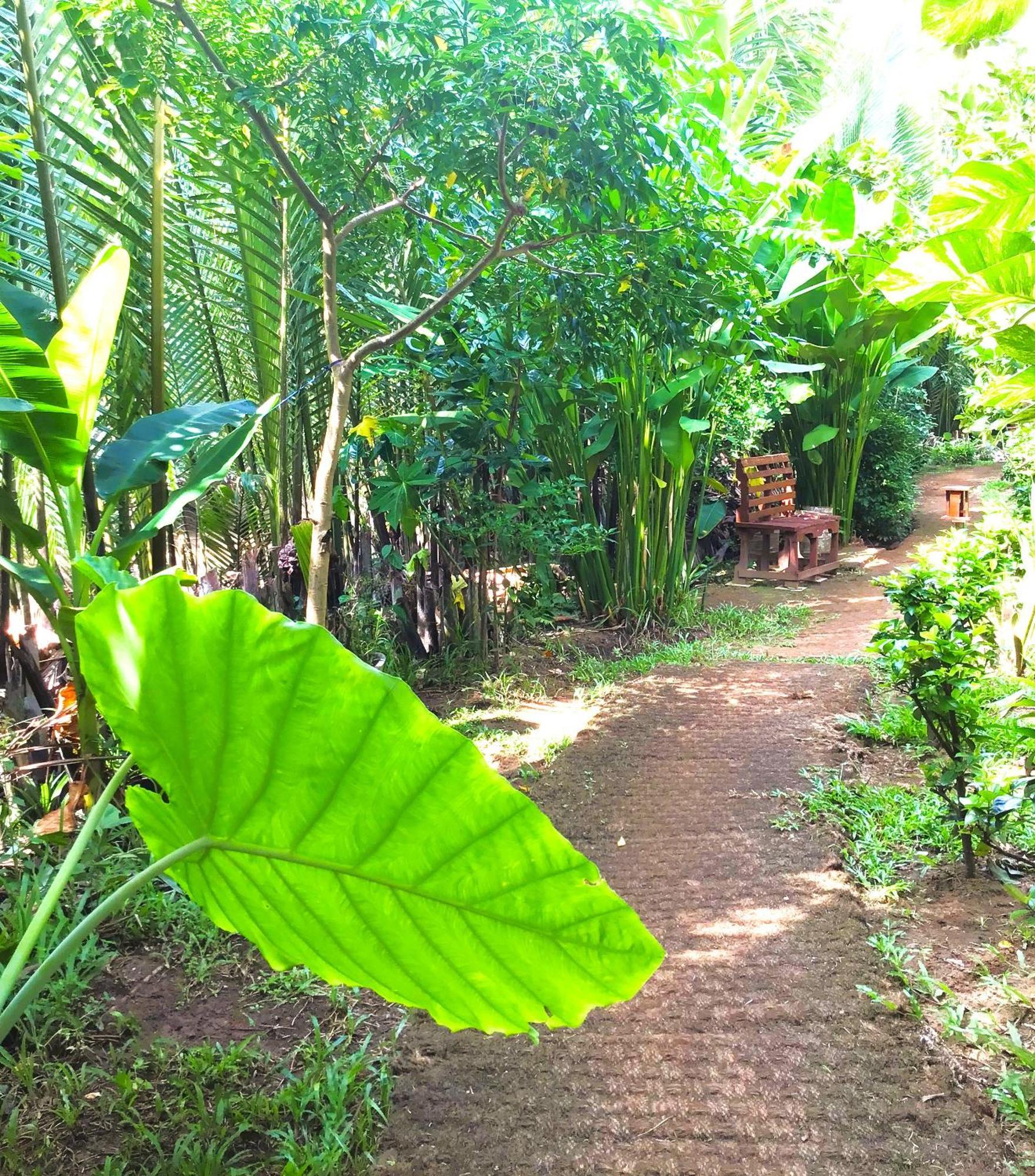 Ben Tre Farm Stay Eksteriør billede