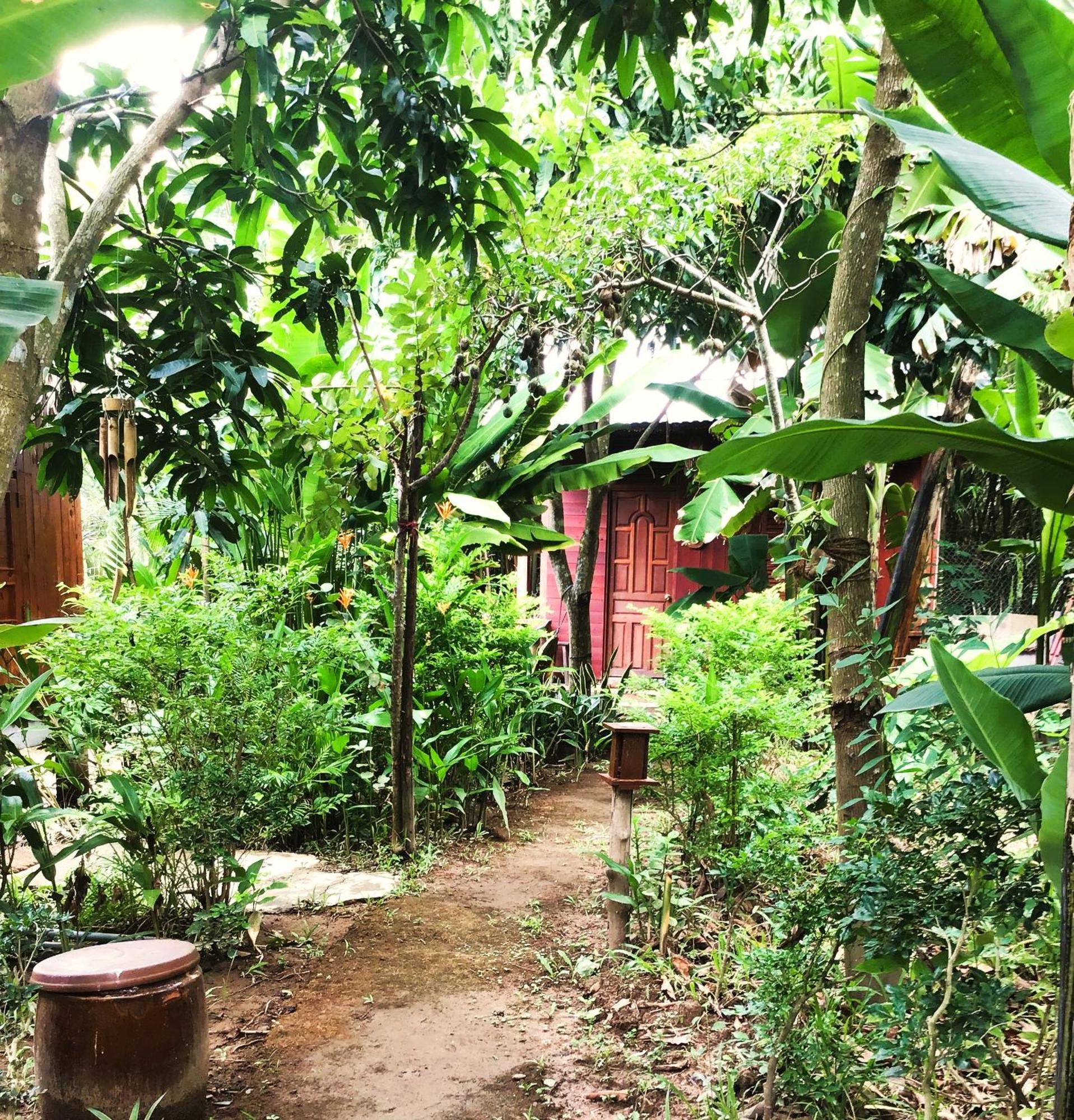 Ben Tre Farm Stay Eksteriør billede